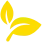 eco-friendly-campus-icon