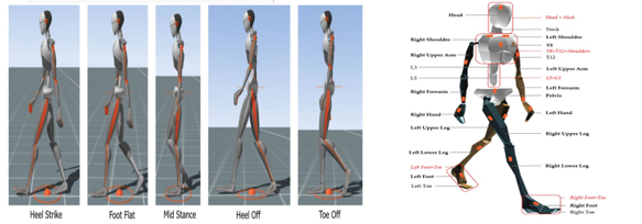 physiotherapy-images-3